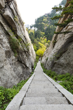 华山中峰