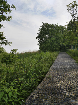 石阶道路