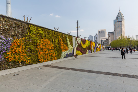 花卉墙