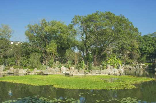 南公園水岸景觀