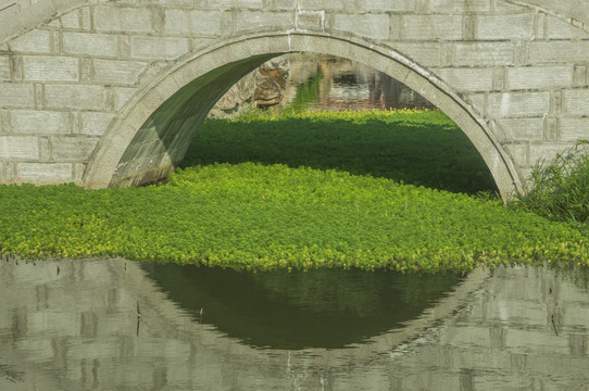 拱桥桥洞