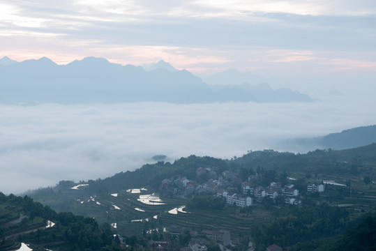 茗岙风光