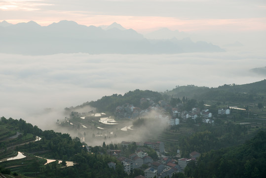 茗岙风光