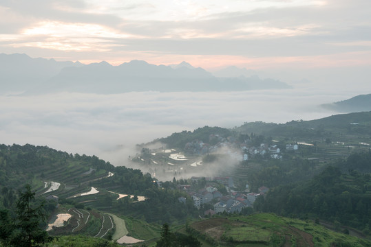 茗岙风光