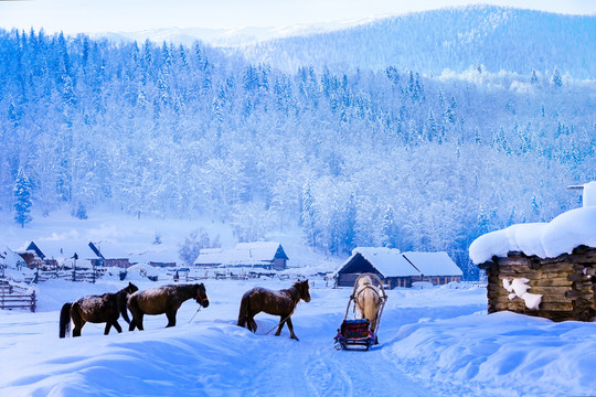 新疆冬季小木屋