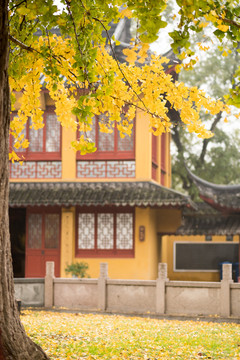 秋景寺廟
