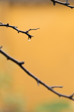 下雨天