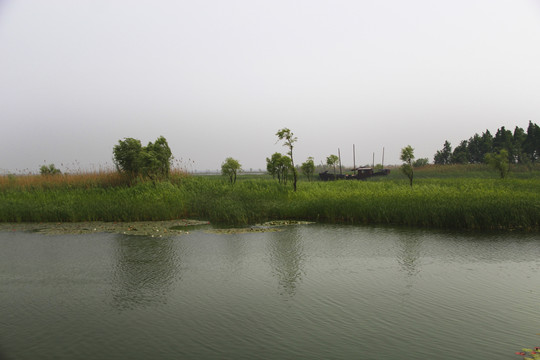 湖泊湿地美景