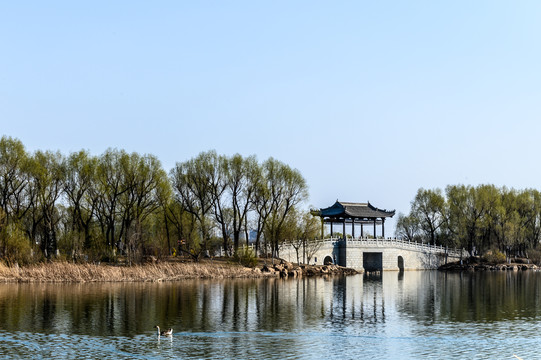 长春北湖国家湿地公园