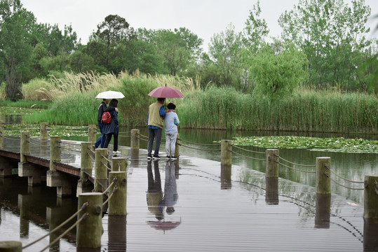 西昌湿地谈恋爱