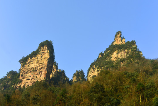 张家界天子山索道周边群峰风光