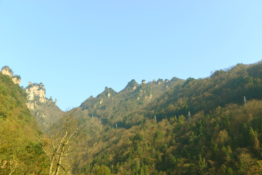 张家界天子山索道周边群峰风光