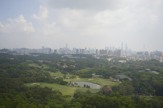 俯瞰广州城市绿化景观