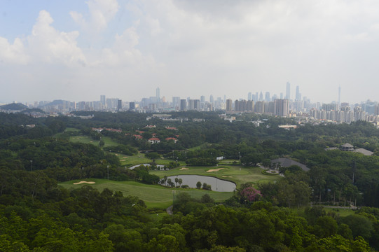 广州城市绿化与建筑景观