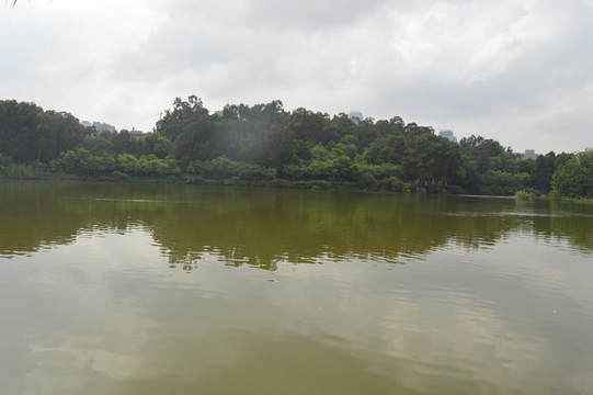 麓湖公园湖泊美景