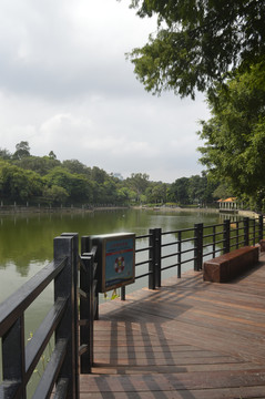 麓湖公园美景