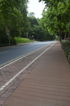 公园道路