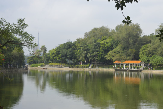 清澈湖面风光