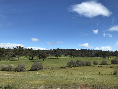 澳大利亚塔斯马尼亚草原