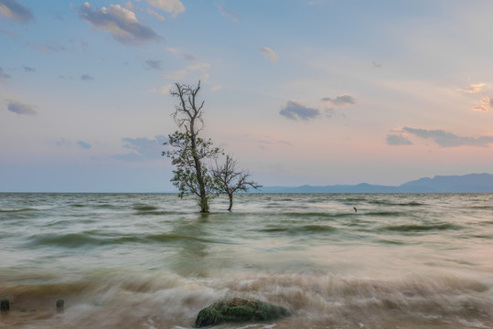 云南昆明滇池湿地风光