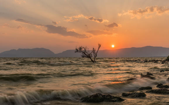 云南昆明滇池湿地风光