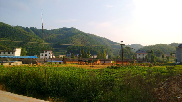 乡村风景