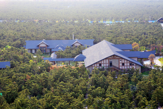 松林温泉