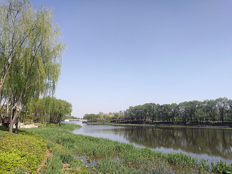 河流河套湿地