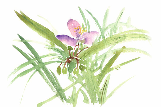 綠葉與紫色花
