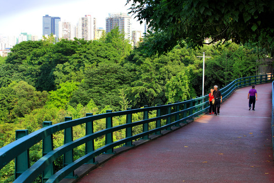 重庆渝中区山地公园