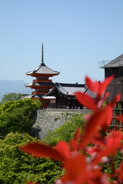 日本清水寺