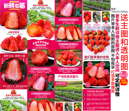 草莓详情主图