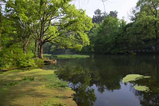 贵阳花果园小车河湿地公园