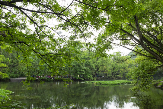 贵阳花果园小车河湿地公园