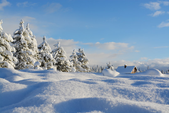 雪景