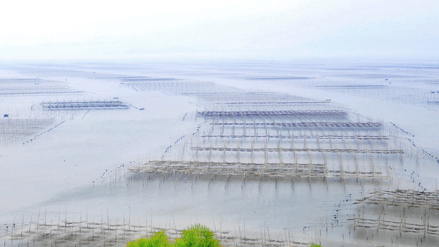 霞浦滩涂