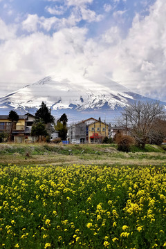 富士山