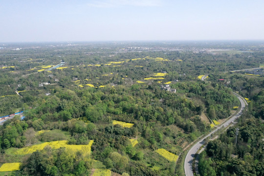 四川田野