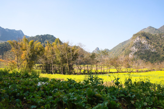 田园风光