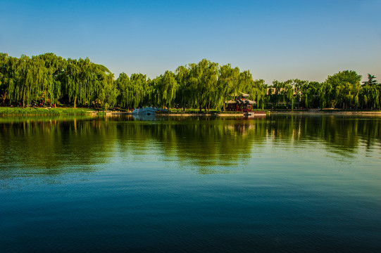 城市湖滨风景