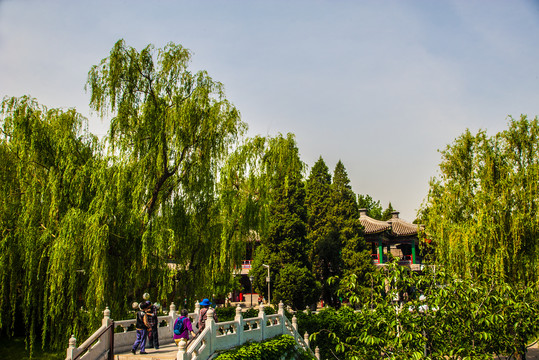 北京陶然亭公园风景