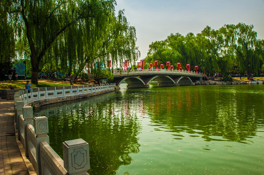 城市滨湖风景