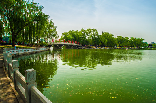 城市湖滨风景