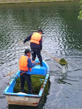 清理湖水