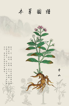 常山