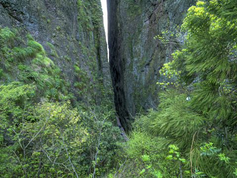 江山江郎山一线天