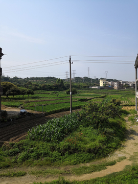 乡村田野