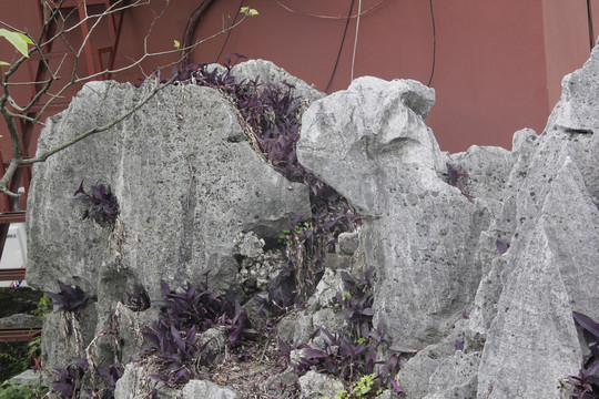 桂林芦笛岩化石