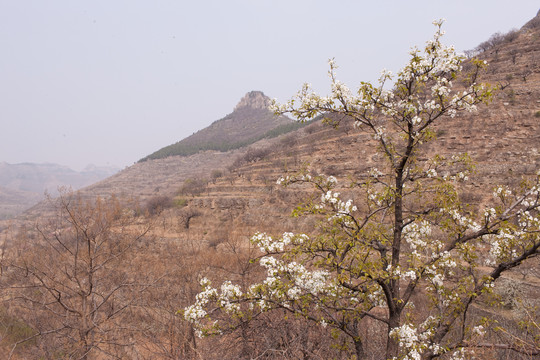 涌泉齐长城风景区