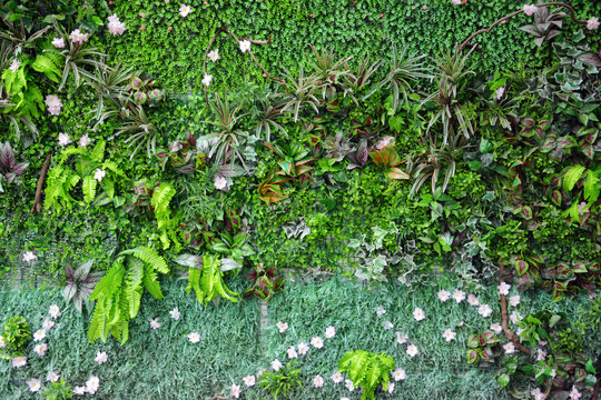 植物装饰墙